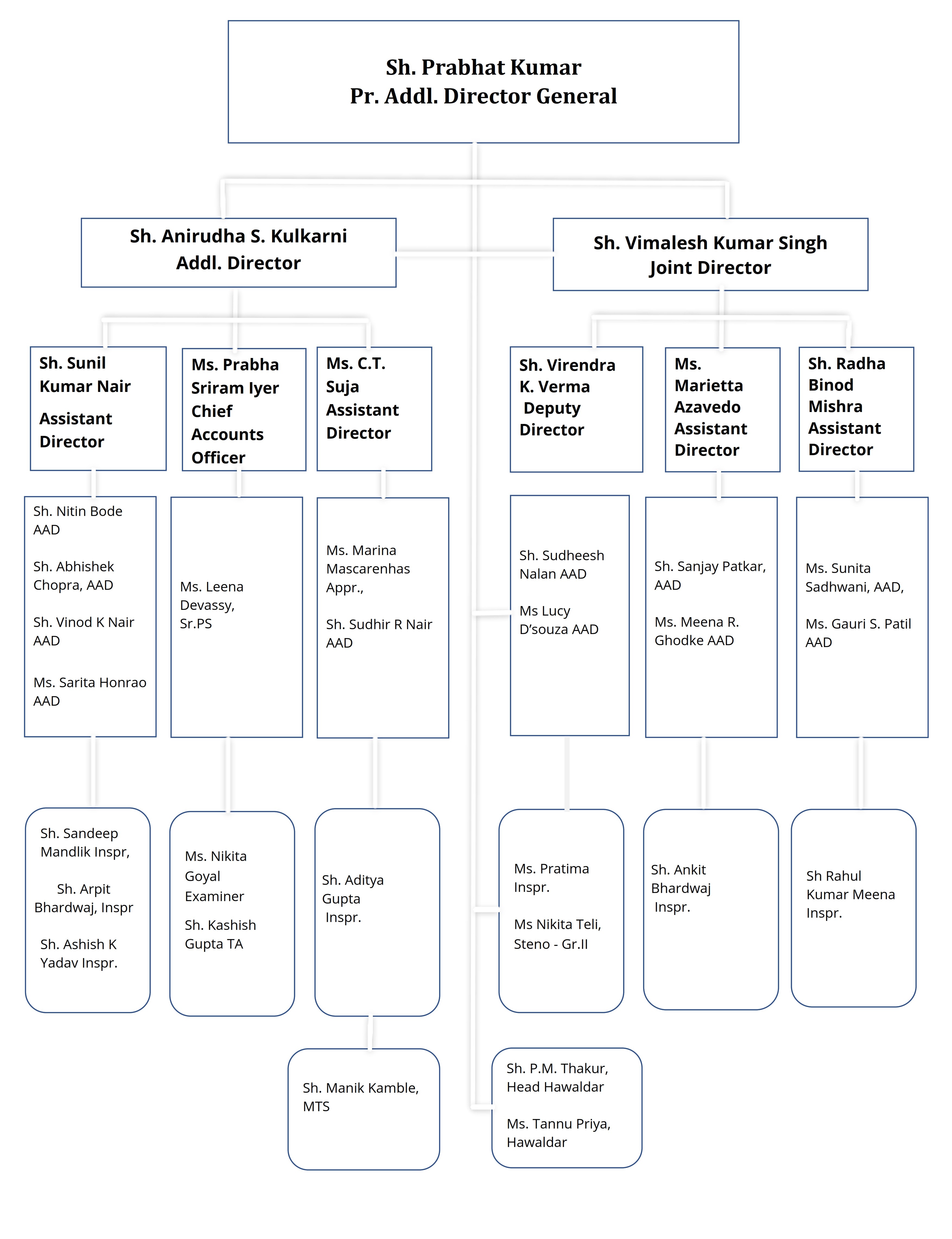 Organization Chart